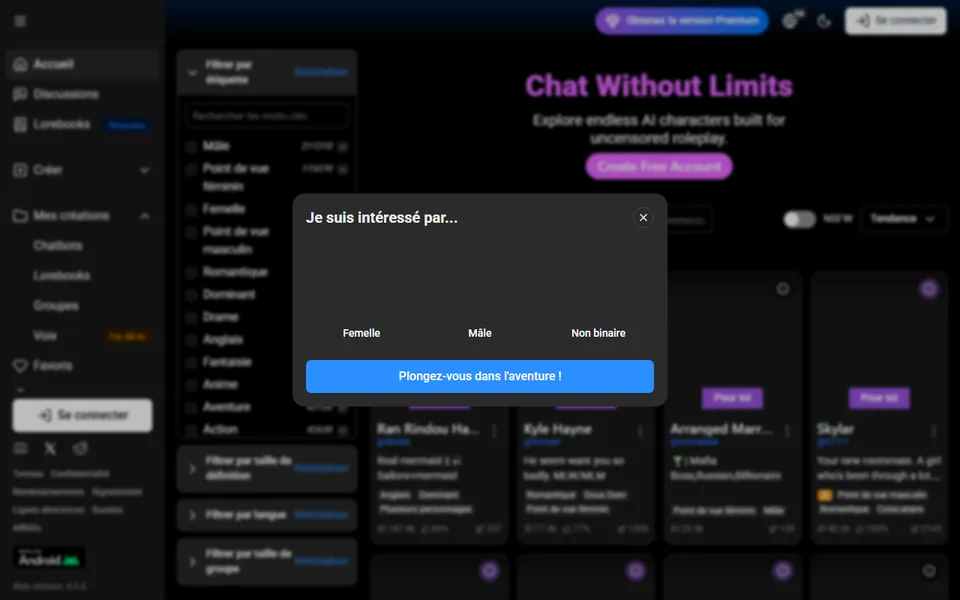 spicychat-page-accueil